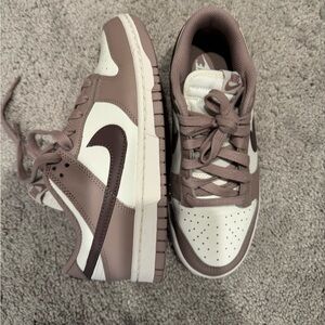 Nike dunks low retro